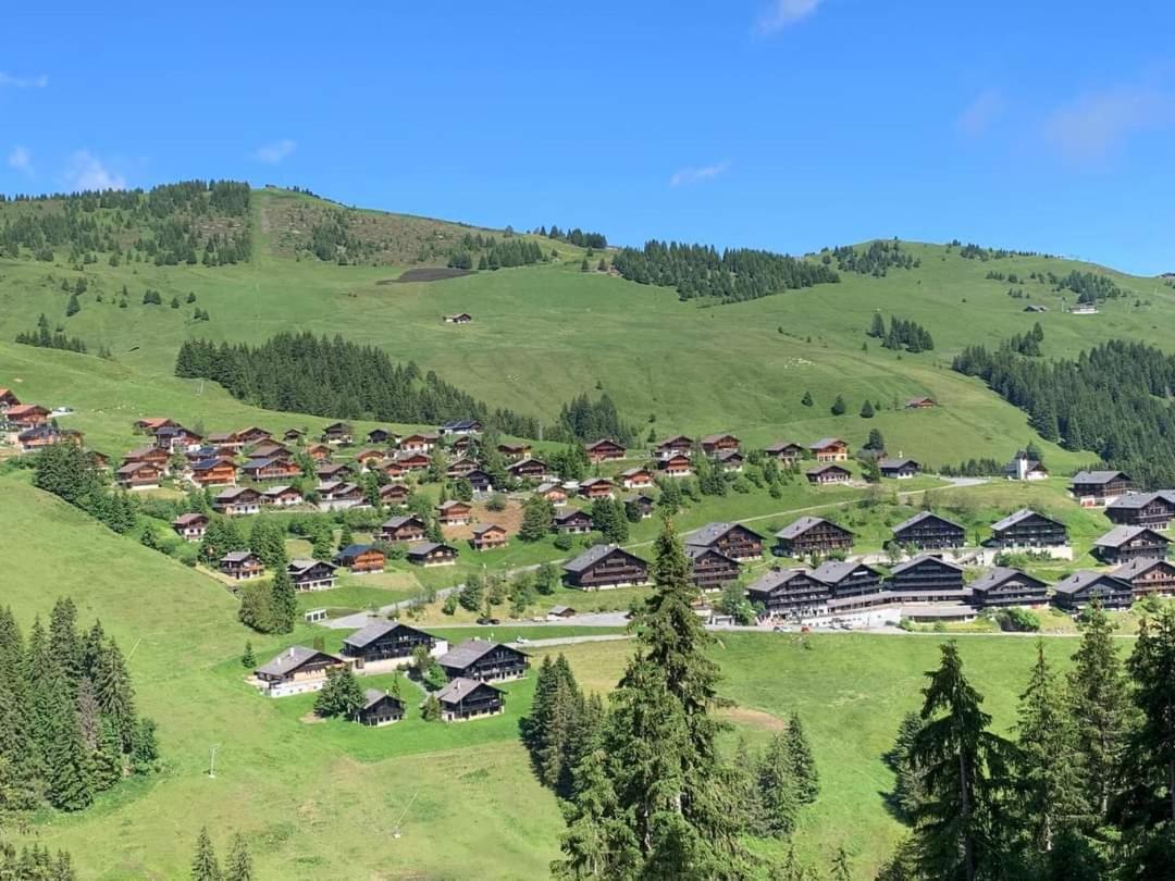 Alpage Immo Location Service Champoussin Zewnętrze zdjęcie